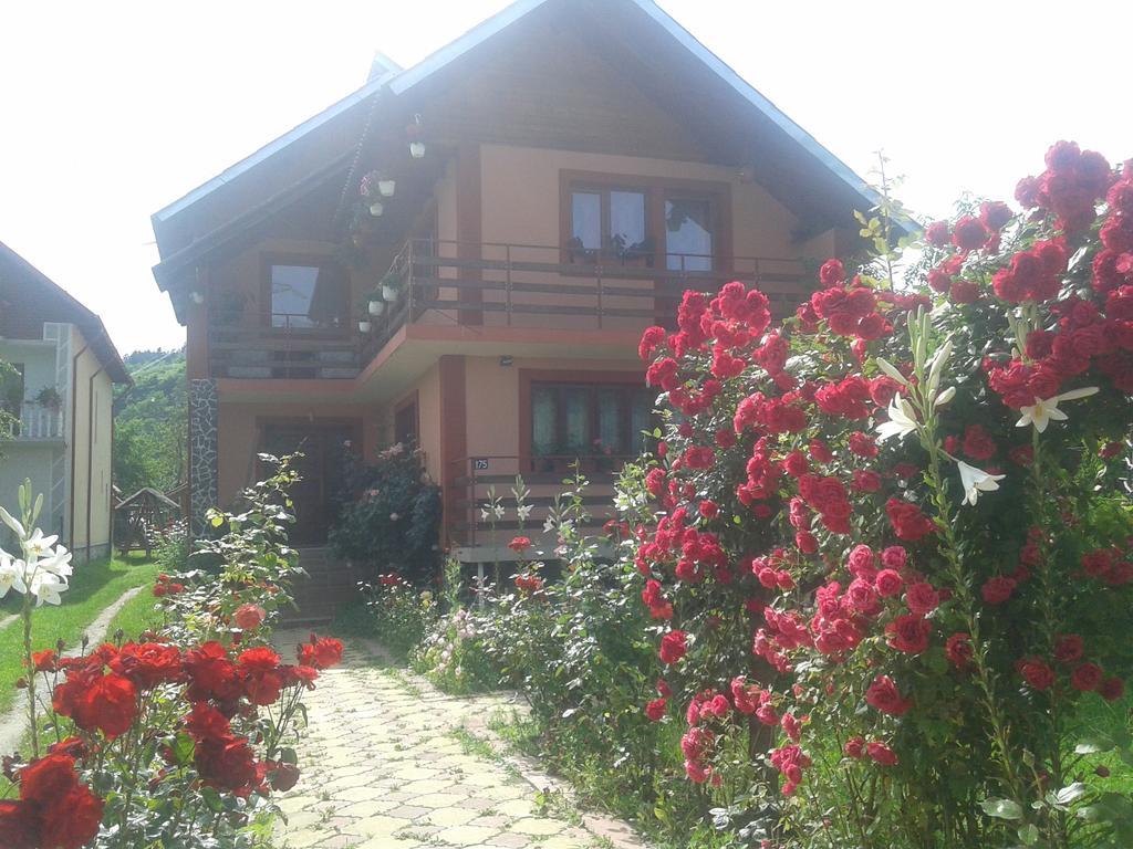 Nopti De Vara Transfagarasan Capatineni-Paminteni Ngoại thất bức ảnh