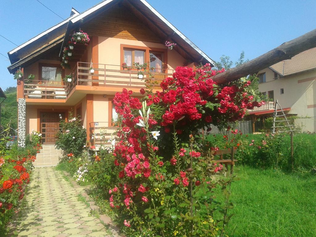 Nopti De Vara Transfagarasan Capatineni-Paminteni Ngoại thất bức ảnh