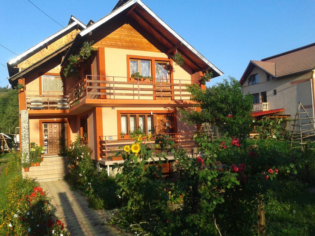 Nopti De Vara Transfagarasan Capatineni-Paminteni Ngoại thất bức ảnh